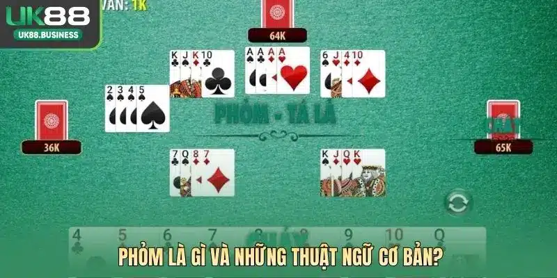 Phỏm là gì và những thuật ngữ cơ bản?